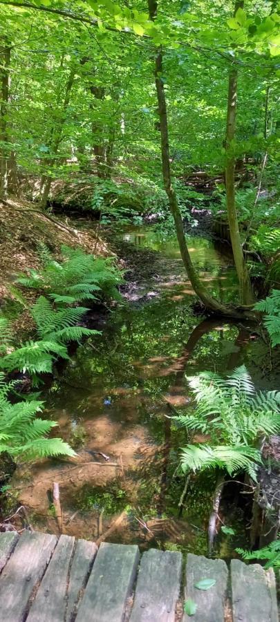 'T Hertje Ermelo Luaran gambar