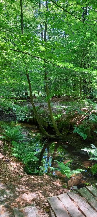 'T Hertje Ermelo Luaran gambar